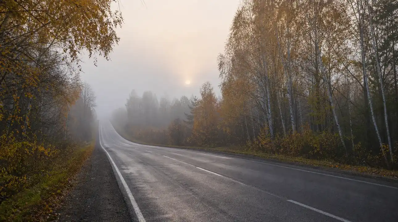Шестеро жителей Нижегородской области осуждены за хищение дизтоплива из нефтепродуктопровода